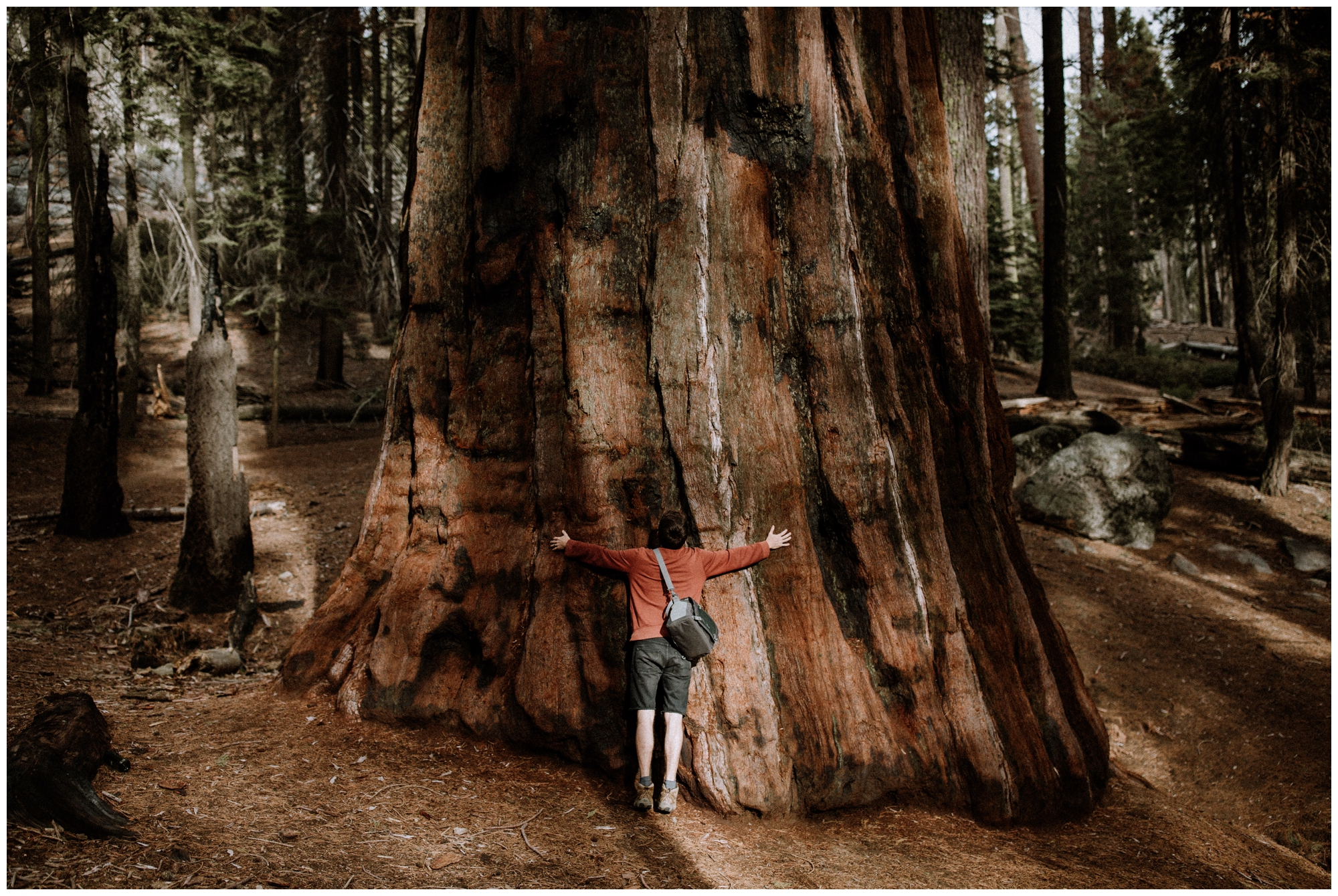 Sequoia National Park Travels » EarthMark Photography